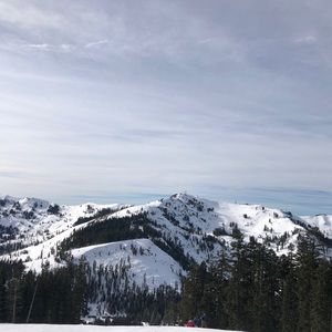 Meet your Posher, Ava